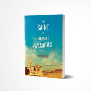 The Saint of Incipient Insanities by Elif Shafak